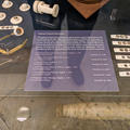 History of Science Museum - Galleries - (5 of 19) - Central Gallery