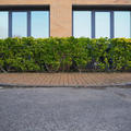 Osney One - Entrance - (4 of 11) - Access from car park