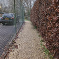 St Hilda's College - College site - (11 of 20) - Loose gravel path to gym
