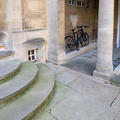 St John's -  Dolphin Gallery - (3 of 8)