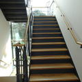 Reuben - Stairs - (4 of 4) - Radcliffe Science Library