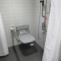 Statistics - Accessible toilets and shower - (2 of 2)